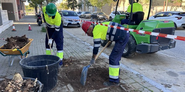 El Gobierno de Sanz pone en marcha la mayor Campaña de Plantación de los últimos seis años