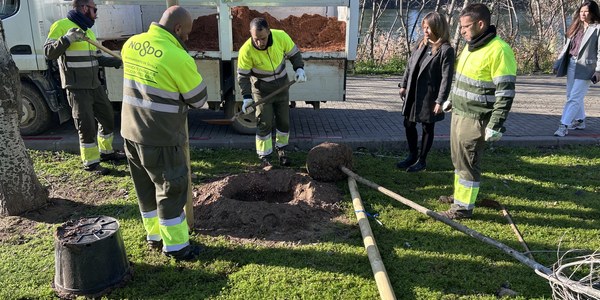 El Gobierno de Sanz refuerza el patrimonio verde del Parque de San Jerónimo con 60 nuevos árboles dentro de su campaña de plantación