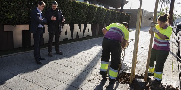 Comienza la plantación de 5.100 árboles y 4.500 arbustos en calles, zonas ajardinadas y parques de toda la ciudad