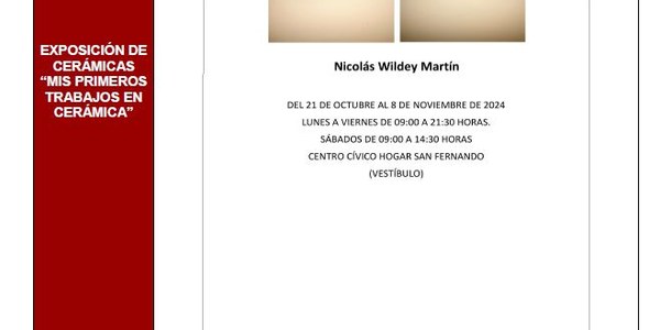 Exposición de Wildey Martín