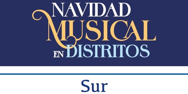 Navidad Musical Distrito Sur