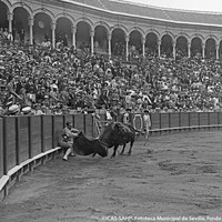 6- Joselito en el primer toro de la corrida a beneficio de la Hermandad de la Macarena en la plaza de toros de la Real Maestranza. 16.06.1918