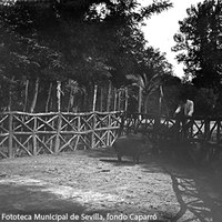 3. Jabalí en una empalizada en el Parque de María Luisa. Ya convertido en parque público, el espacio es un reducto de la época de los Montpensier. 1903 ©ICAS-SAHP, Fototeca Municipal de Sevilla, fondo Caparró