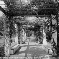 7. Pérgolas laterales del Estanque de los Leones. 1910-1920 ca. ©ICAS-SAHP, Fototeca Municipal de Sevilla, fondo Serrano