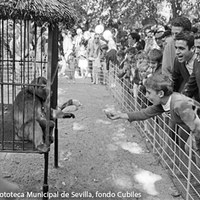 17. Zoológico del Parque inaugurado en 1967 ©ICAS-SAHP, Fototeca Municipal de Sevilla, fondo Cubiles